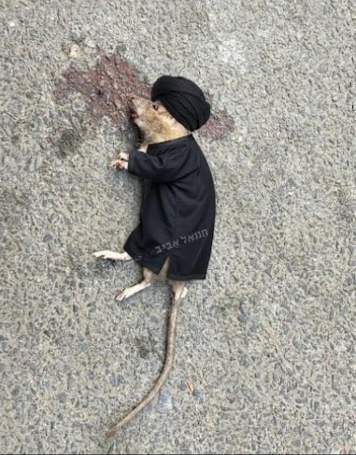 King 👑 tweet media