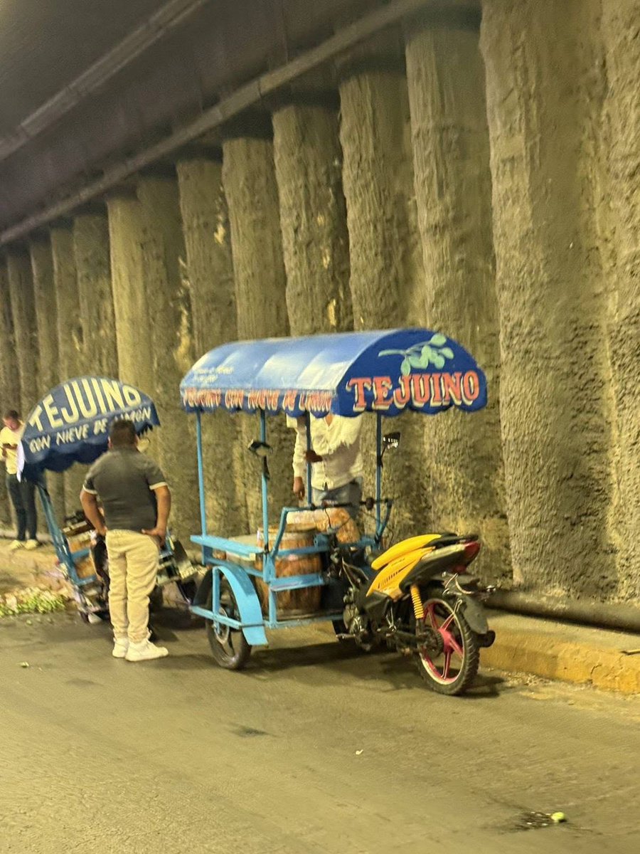 Hatsumi Nonaka 🇯🇵 初美 tweet media