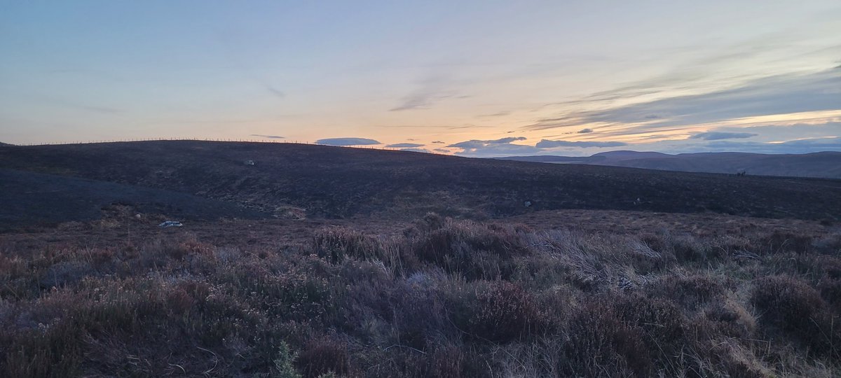 Balintore Fire Station tweet media