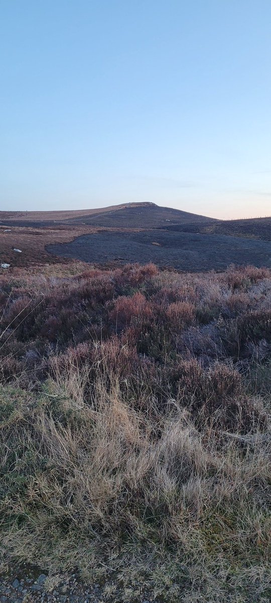 Balintore Fire Station tweet media