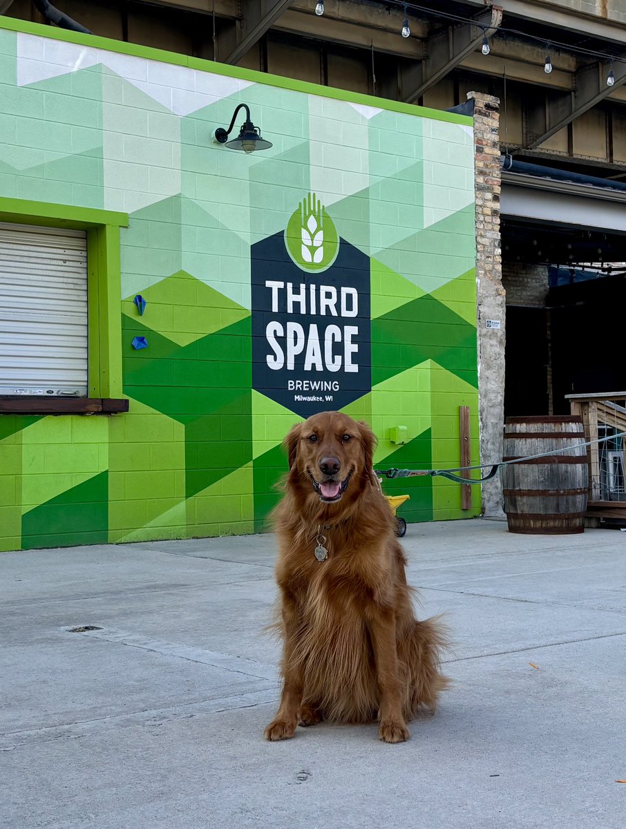 Jim Love tweet media