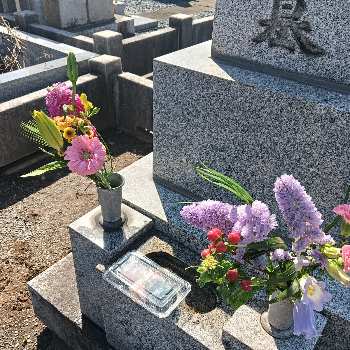 週末　妻の家の墓参に行ってきました
八柱霊園　千葉県松戸市にあるけど
《都営・八柱霊園》
東京都が千葉県に土地を購入
都民or松戸市民も利用出来るとの事

ディズニー(ランド＋シー)の面積

毎回道に迷って
(右)だ(左)だと喧嘩になります😂