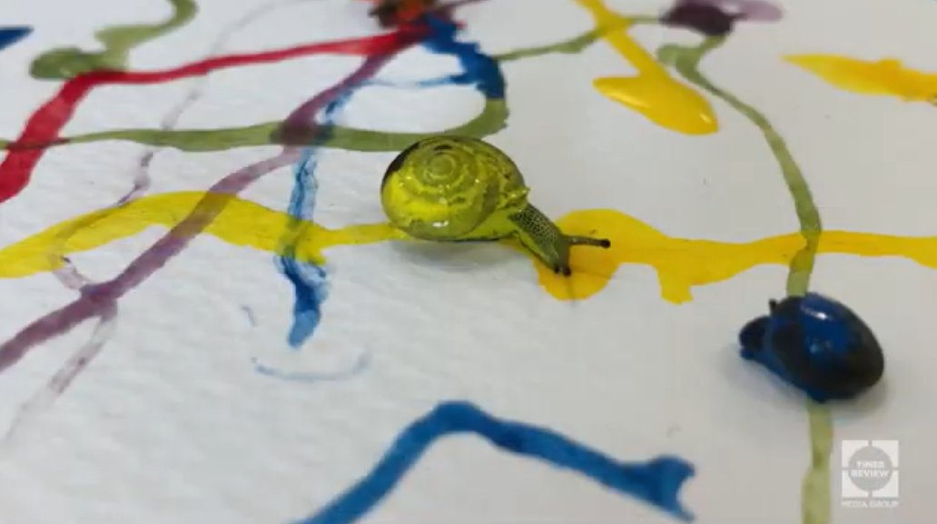 :Donna Marie tweet media