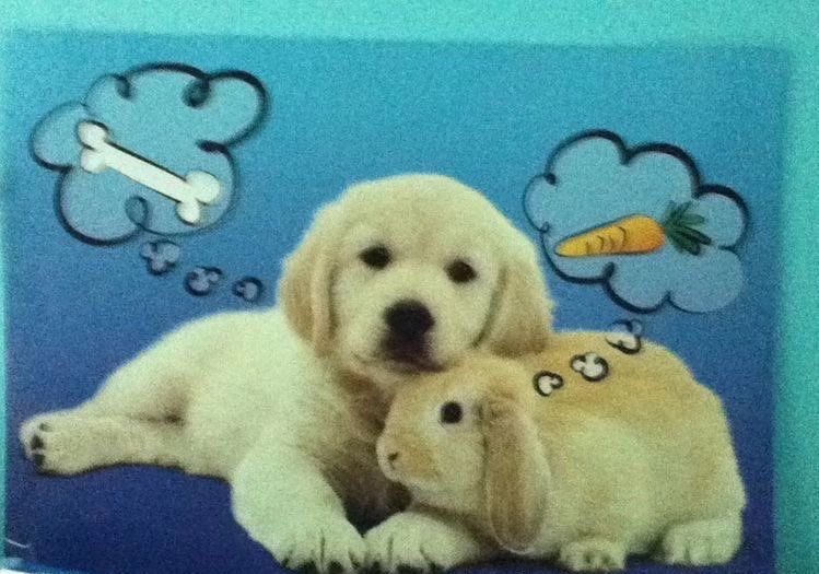 lauren 🐇 tweet media