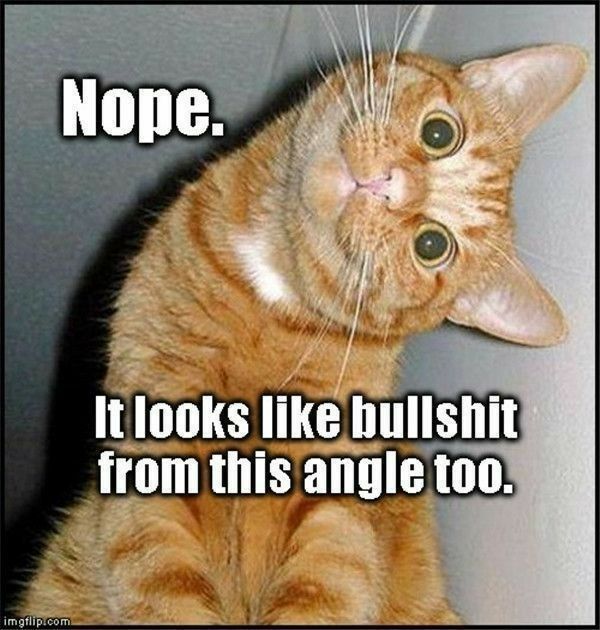 Knight Thyme tweet media