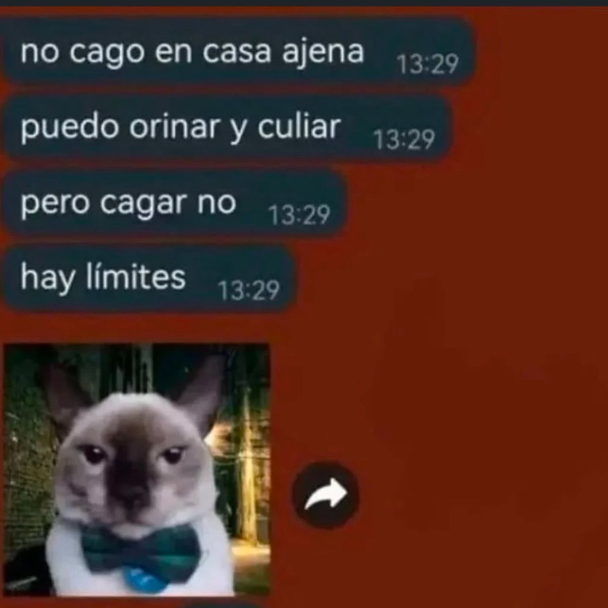 Memakker tweet media