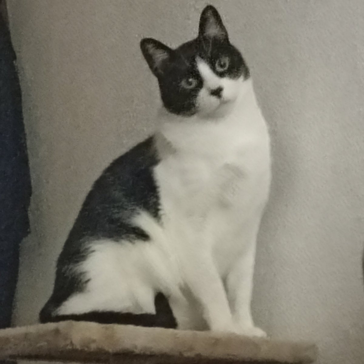 O Newt manda um Feliz dia das Mulheres para todas 🫶