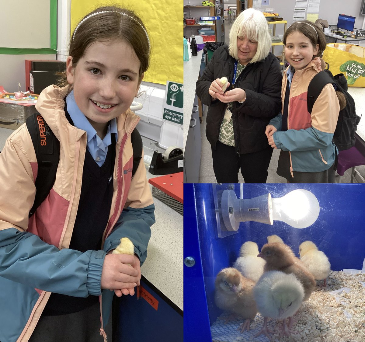 St Edward's Windsor tweet media