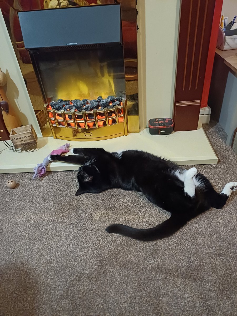 Goodnight Twitter Pals. My favourite relaxing place. Sweet dreams to you all. 💤💤💤 Harry xxx