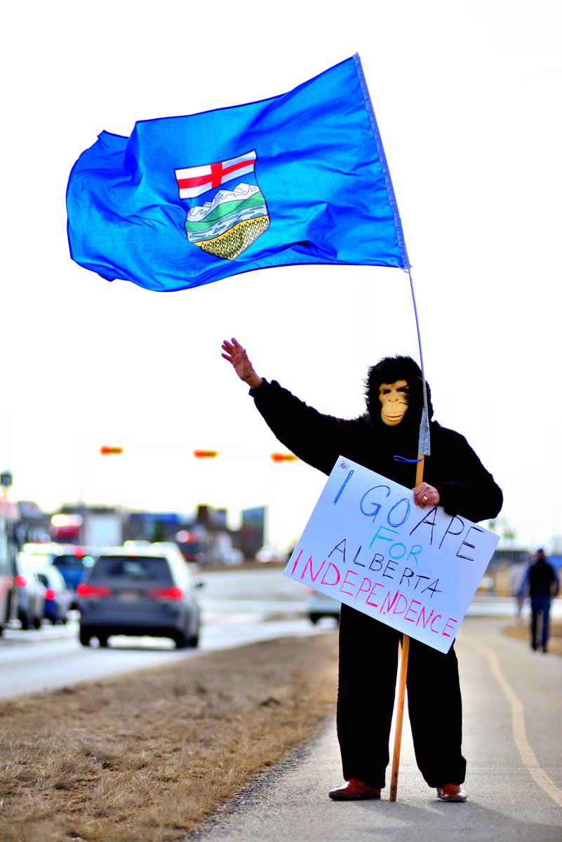 Dr. Sarcasto Ph. D. tweet media