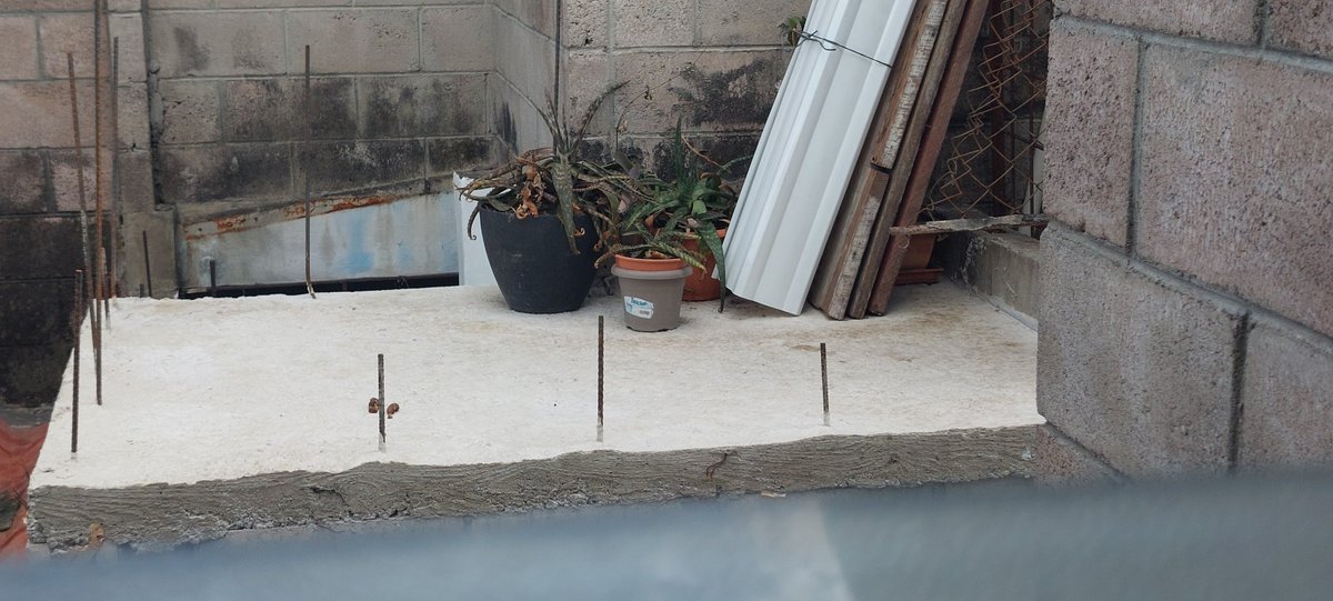 MMvlad032's tweet photo. Sr. @marioduran, @alcaldia_ss, solicitamos el apoyo, tenemos un vecino que tiene un perrito, sale a la terraza a hacer sus necesidades pero no limpian, dejándolo días así, provocando que el olor llegue a varios de nosotros, solicitamos su apoyo. https://t.co/qHP7uFM7S0