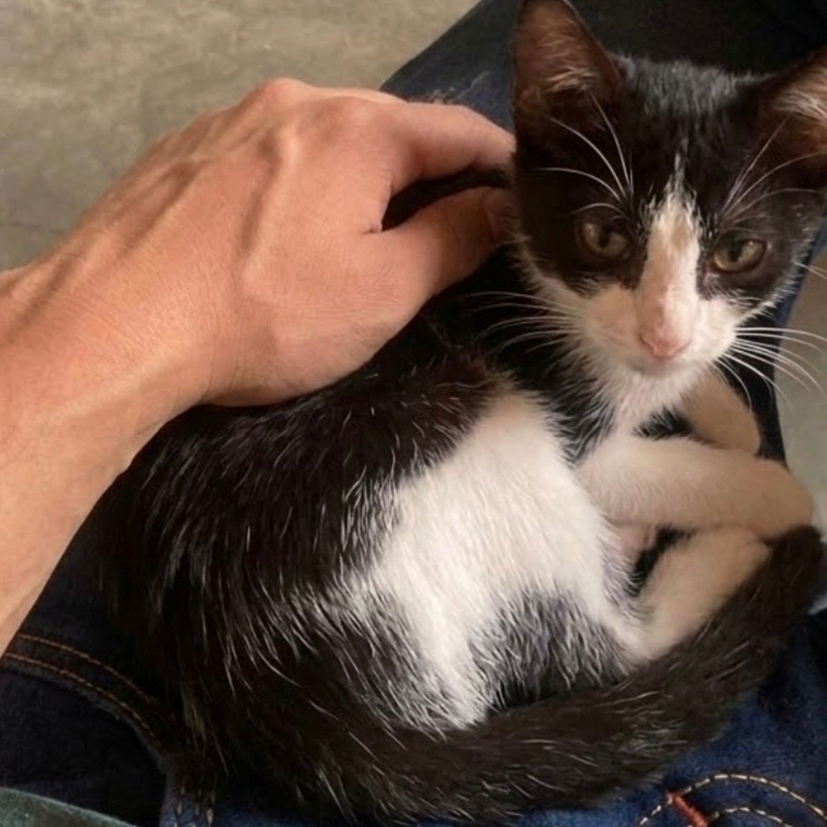 Mutis!! Encontré una foto de mi bebé cuando era pequeño 🥺