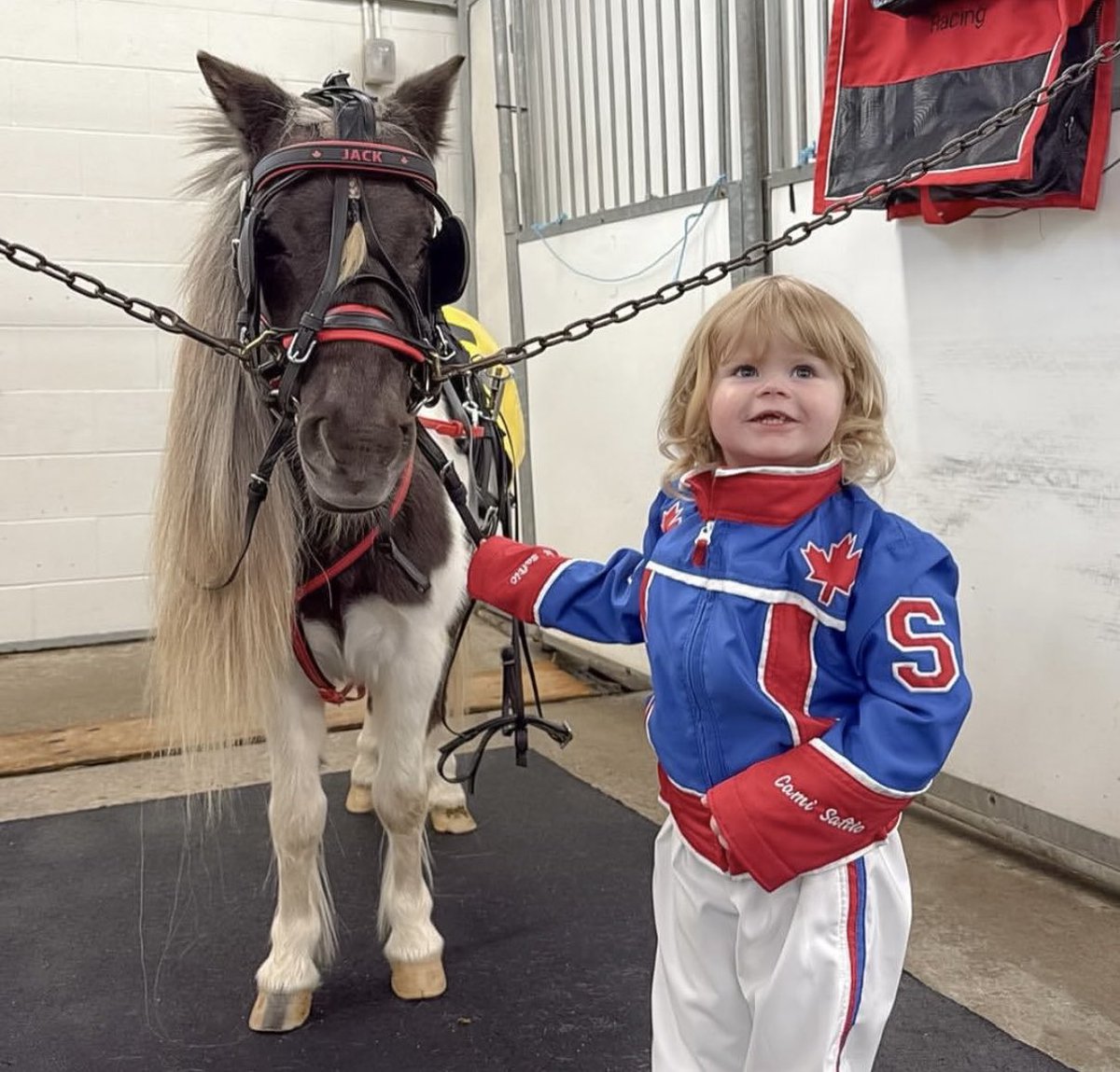 Christina Saftic tweet media