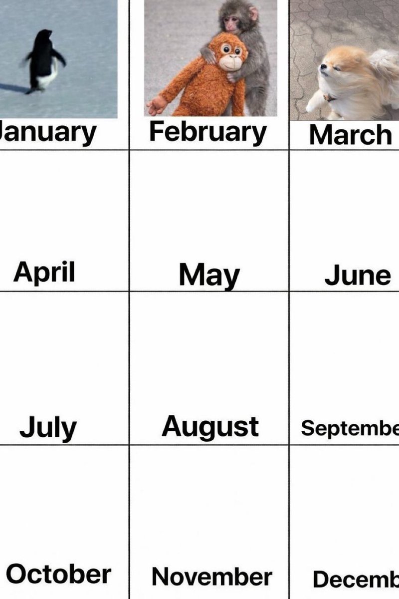 $Sojiro is looking good.

Undervalued

But Sojiro will have time to shine