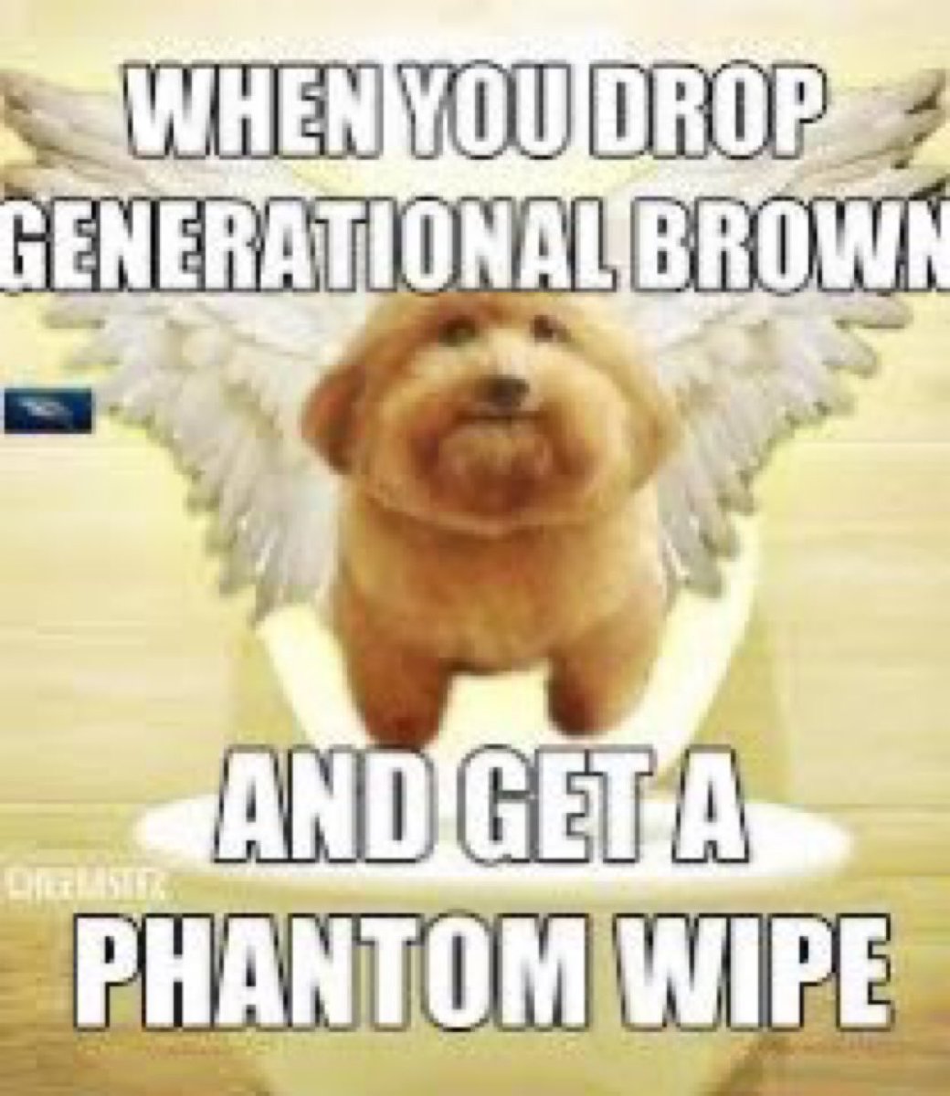 Dark,Odd,Conspiracy tweet media