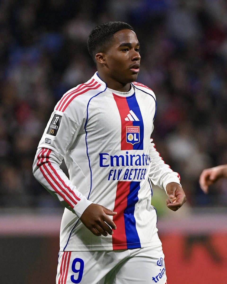 FansGones 🦁 tweet media