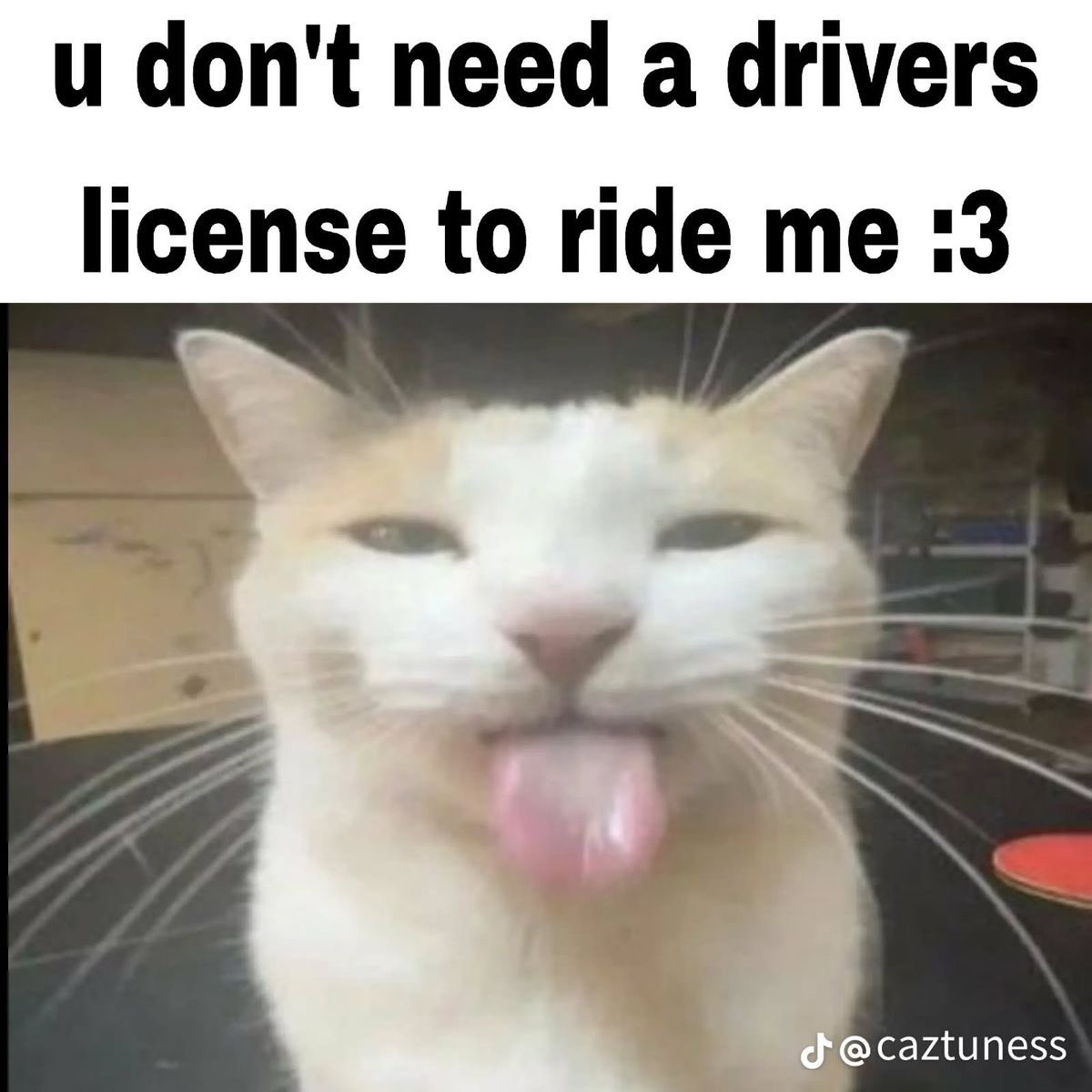 Terro AD🔞 tweet media