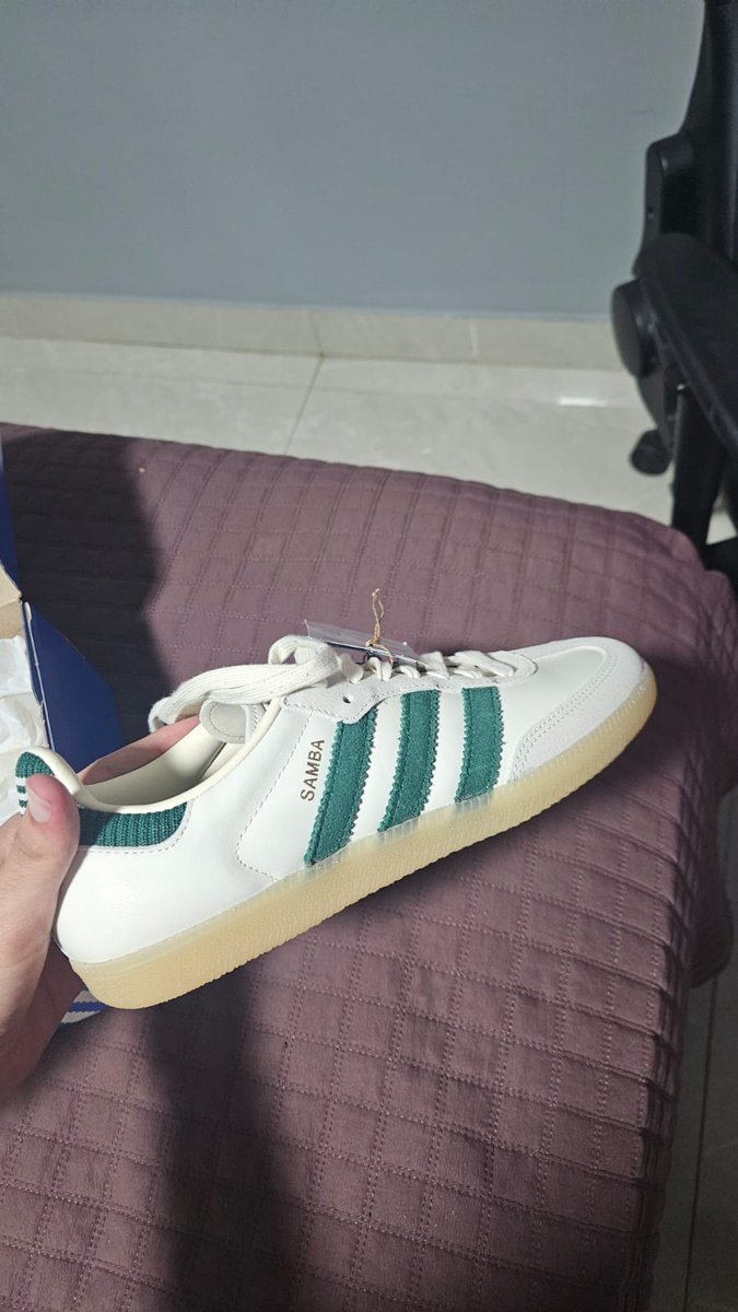 Vitor Carvalho tweet media