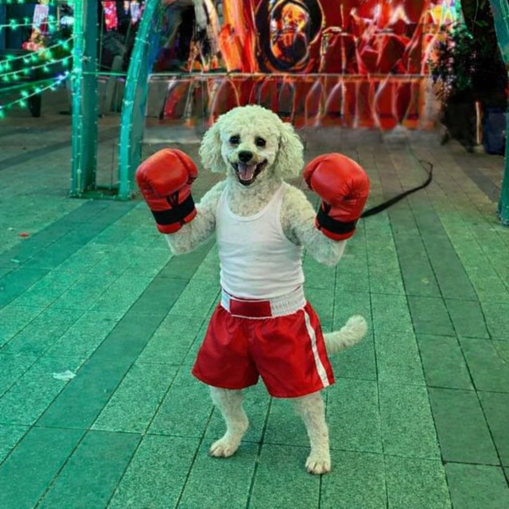 Pablotsss tweet media