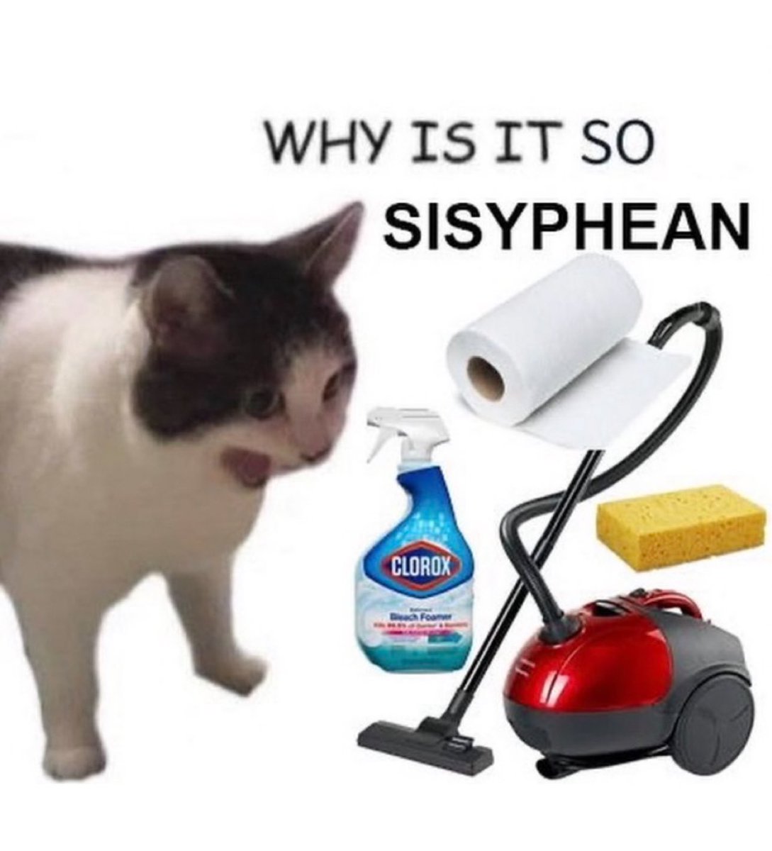 fat!so? (@fatfabfeminist) on Twitter photo 