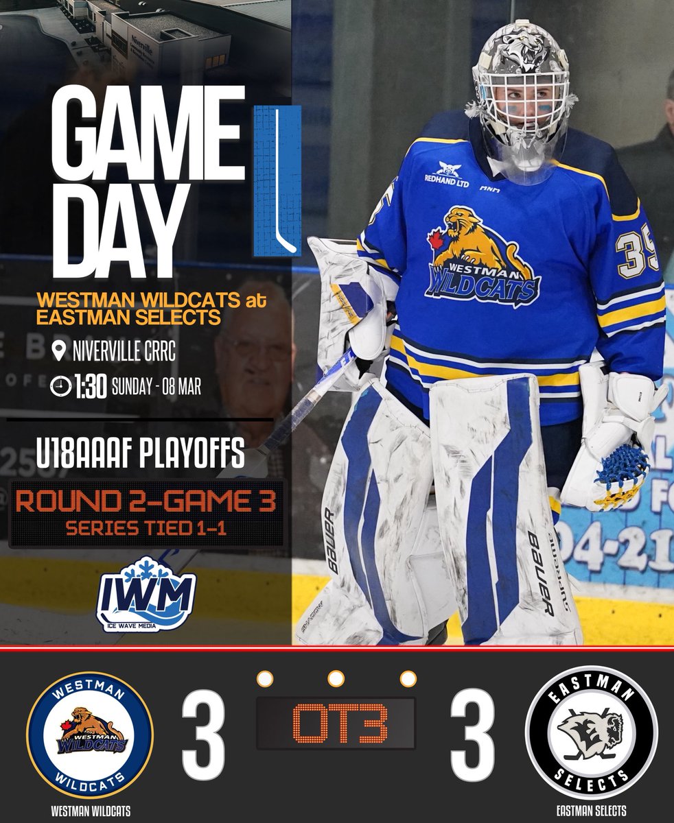 Ice Wave Media 🥅 tweet media