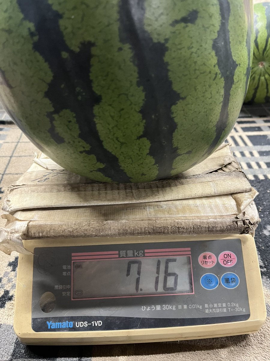 ie9a3t's tweet photo. 初7キロ
本日のスイカ🍉 https://t.co/DgDhPRZQSh