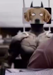 Not your dog tweet media