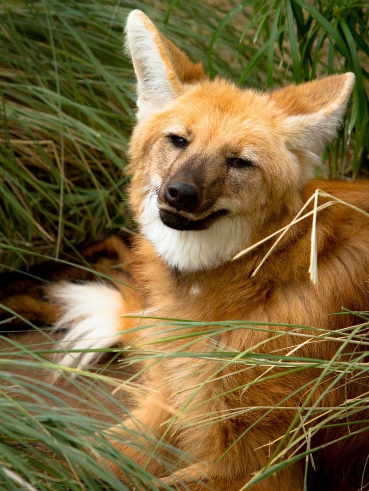 🌠 NuncioNull | Comm slots in bio tweet media