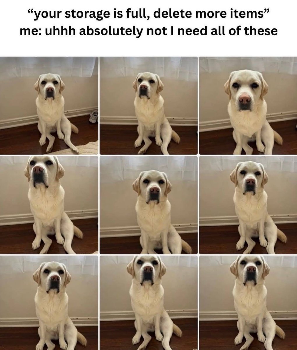 Heckin Good Dogs tweet media