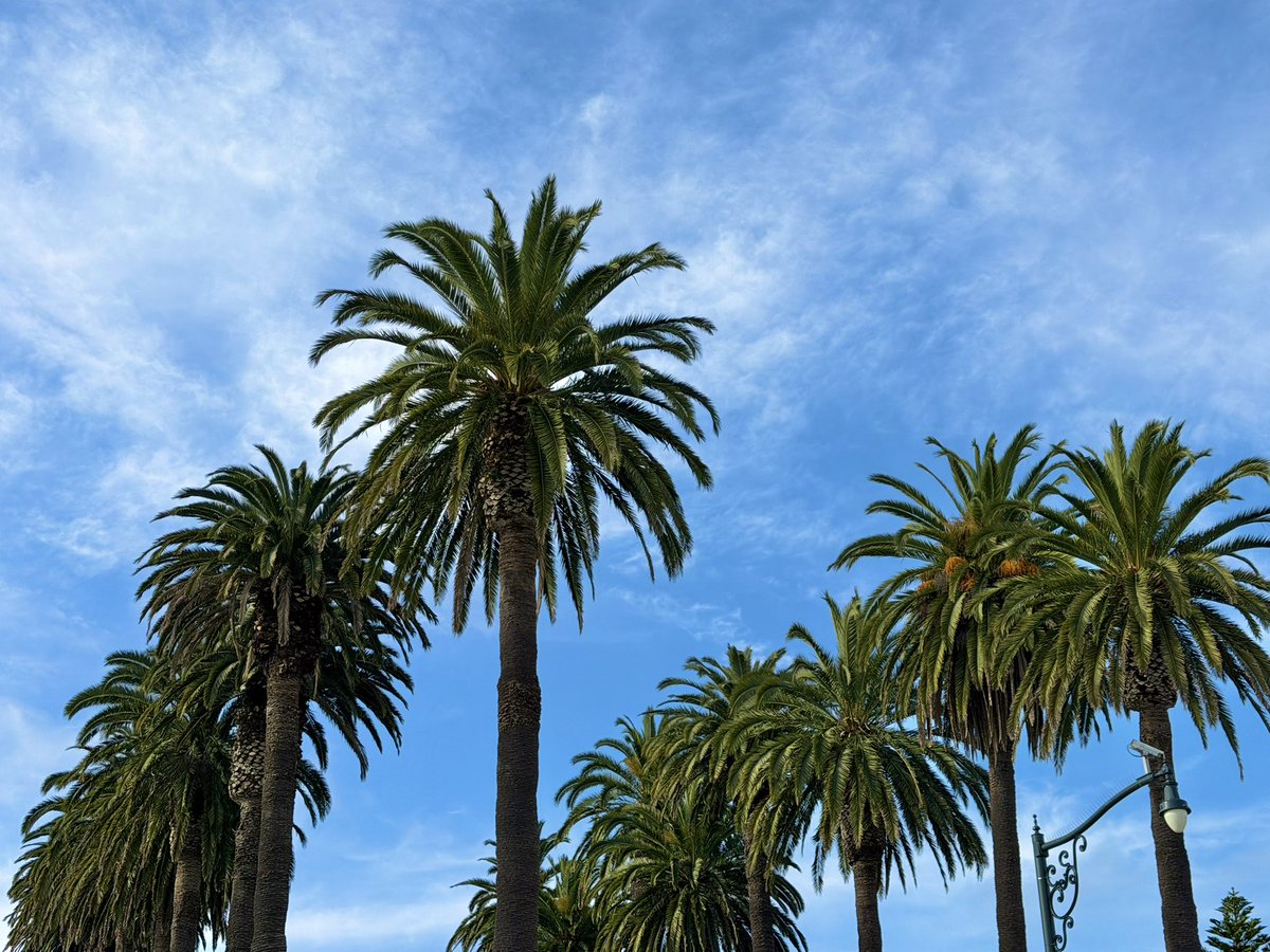 mr_visual_me's tweet photo. Winter in Santa Barbara #vacay #2026 https://t.co/o7m5J98jqf