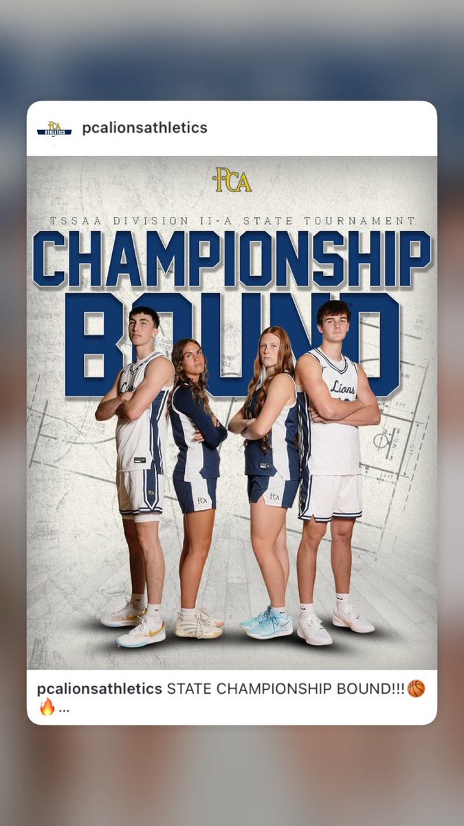 Alex Anderson tweet media