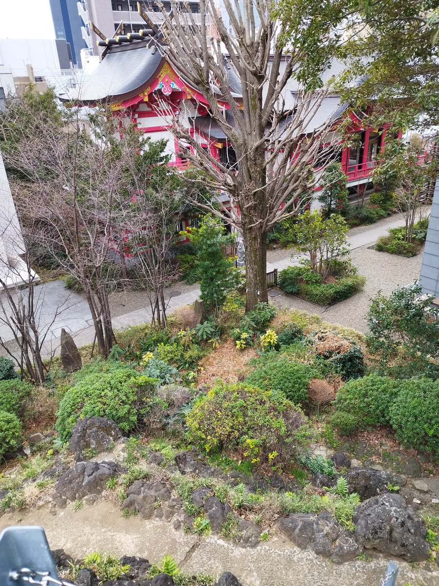 a5421103's tweet photo. おはざーす。先日成子天神社行ってきました！富士塚登ってきましたよーん。なかなか、怖かった！笑転げ落ちたらヤバ！ https://t.co/AclUQIH6bC