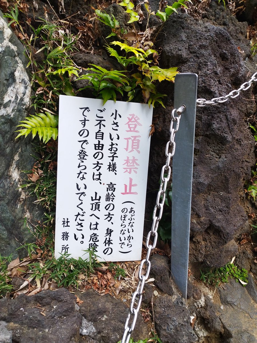a5421103's tweet photo. おはざーす。先日成子天神社行ってきました！富士塚登ってきましたよーん。なかなか、怖かった！笑転げ落ちたらヤバ！ https://t.co/AclUQIH6bC