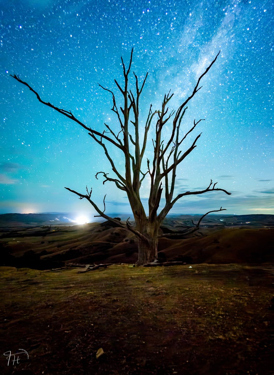 Connecting Under the Stars.