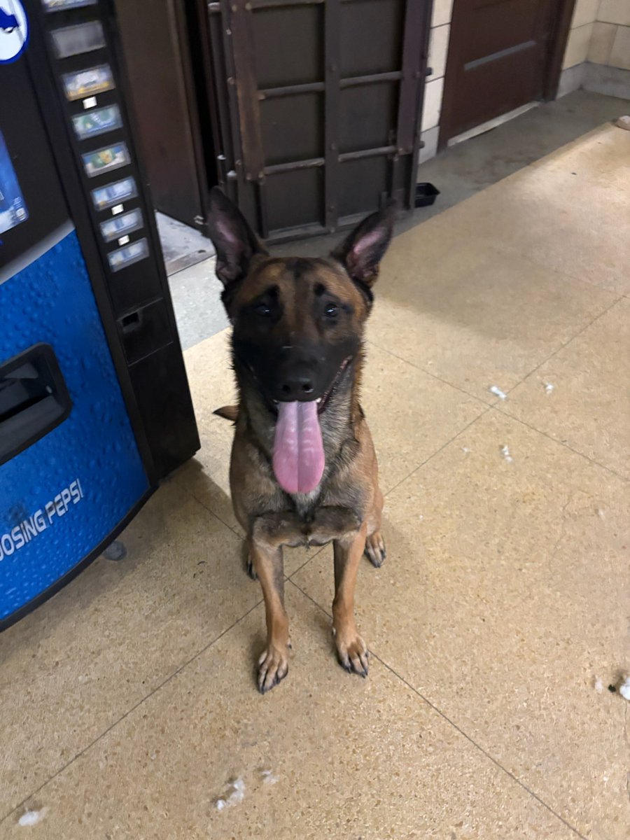 Yonkers Police 2nd Pct tweet media