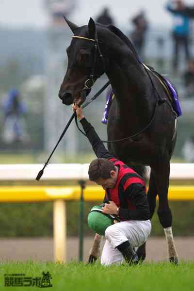 天覧試合の村上宗隆の腕組みが話題だが…

2012年、天皇賞・秋。
この日は両陛下が観覧される
「天覧競馬」だった🇯🇵🇯🇵🎌

名馬エイシンフラッシュが先頭でゴール板を駆け抜けた瞬間、競馬場が沸いた。

だがデムーロ騎手は、歓声に応えなかった😵‍💫