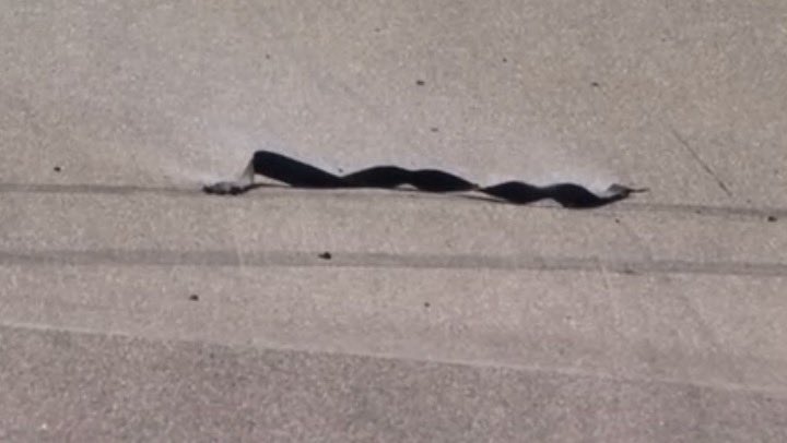 nascarcasm tweet media