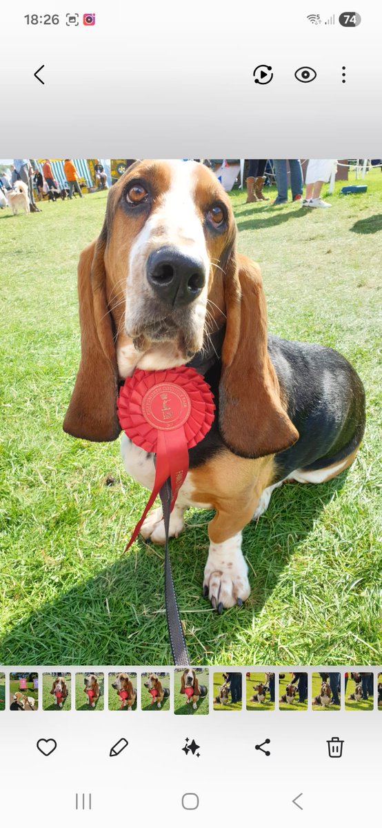 Ruby Monster tweet media