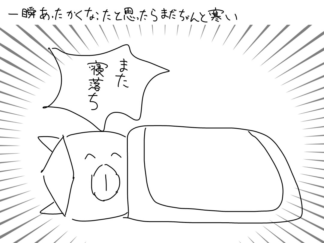 ハクト🟨＆マイちゃん🎀 tweet media