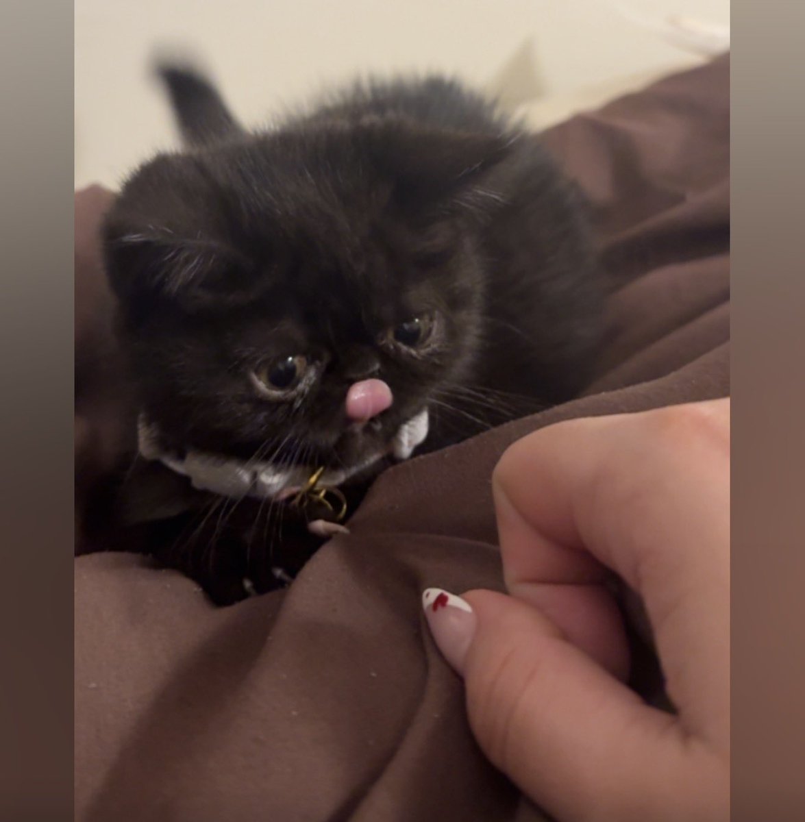 𝓢𝓮𝓷 tweet media