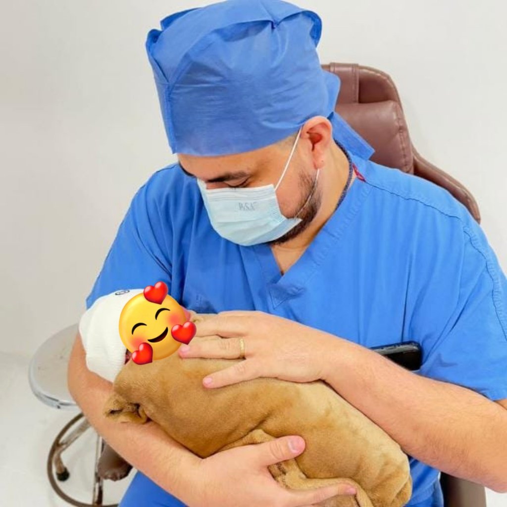 Mexi 光 tweet media