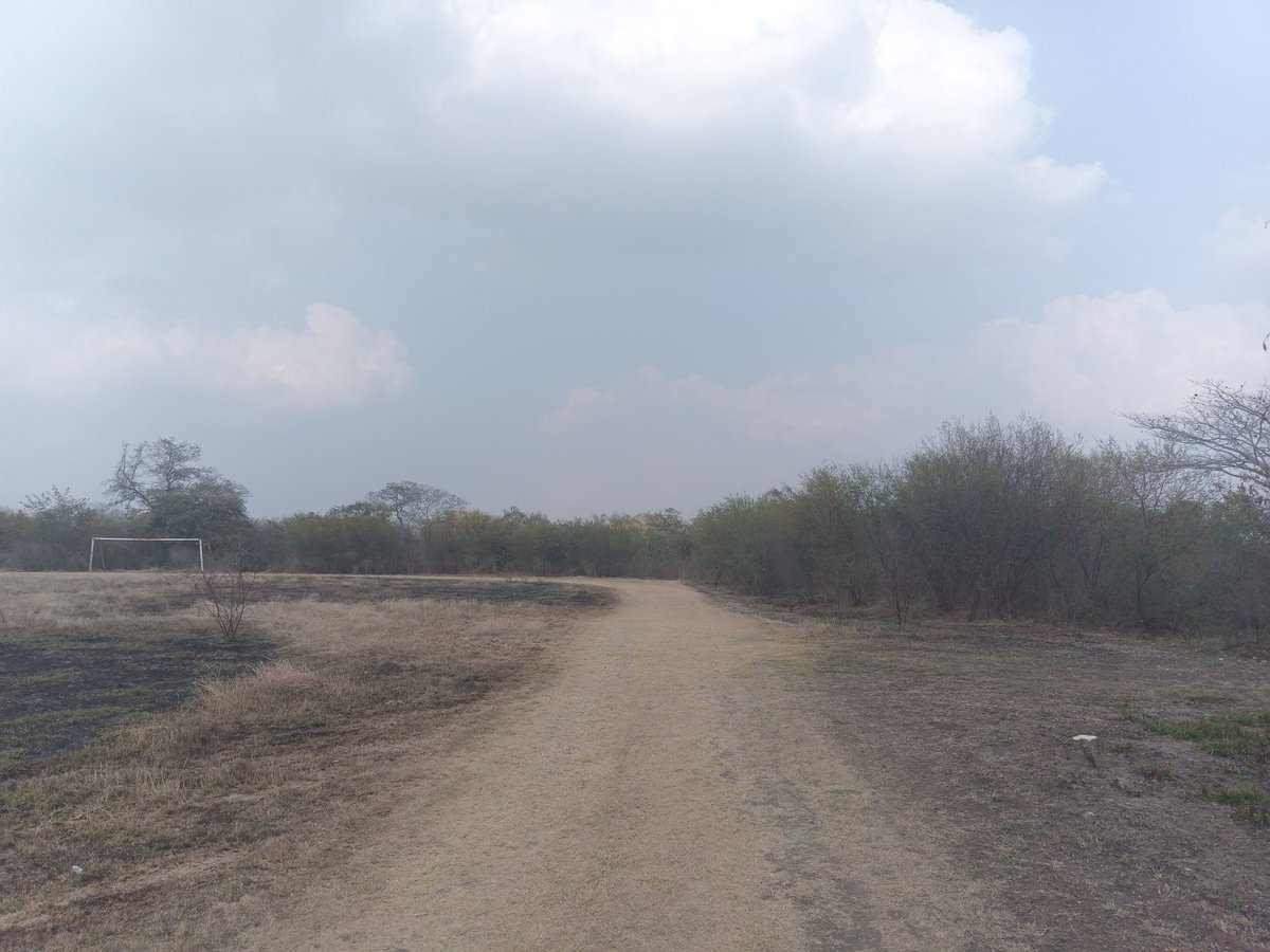 omvalles's tweet photo. A correr! https://t.co/jst53lhZ2U
