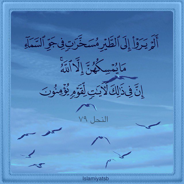 AwHirsiSO's tweet photo. "Do they not see the birds controlled in the atmosphere of the sky? None holds them up except Allah. Indeed in that are signs for a people who believe."  
— Quran 16:79 #TheUltimateClearProof https://t.co/NiMmmp5Lwa