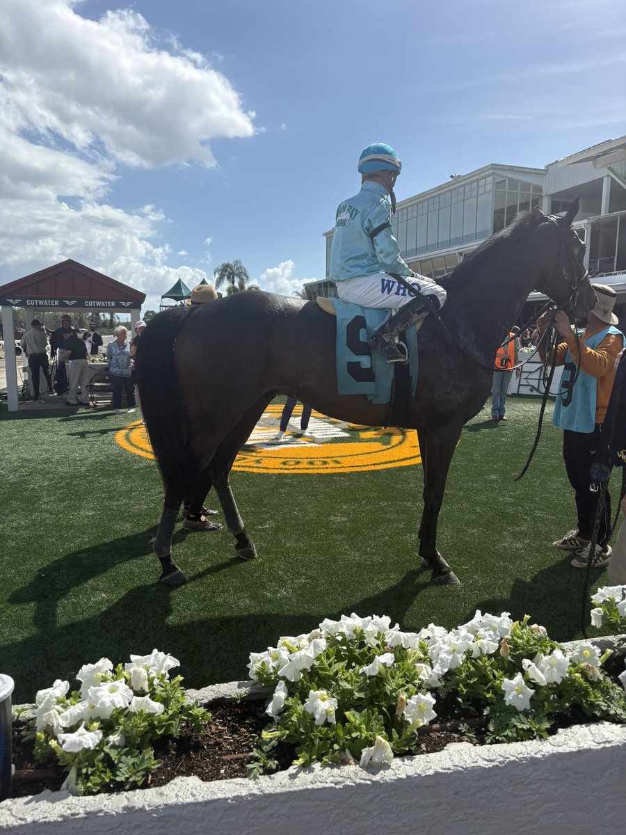 Eric “Rocco” Pignataro Jockey Agent tweet media