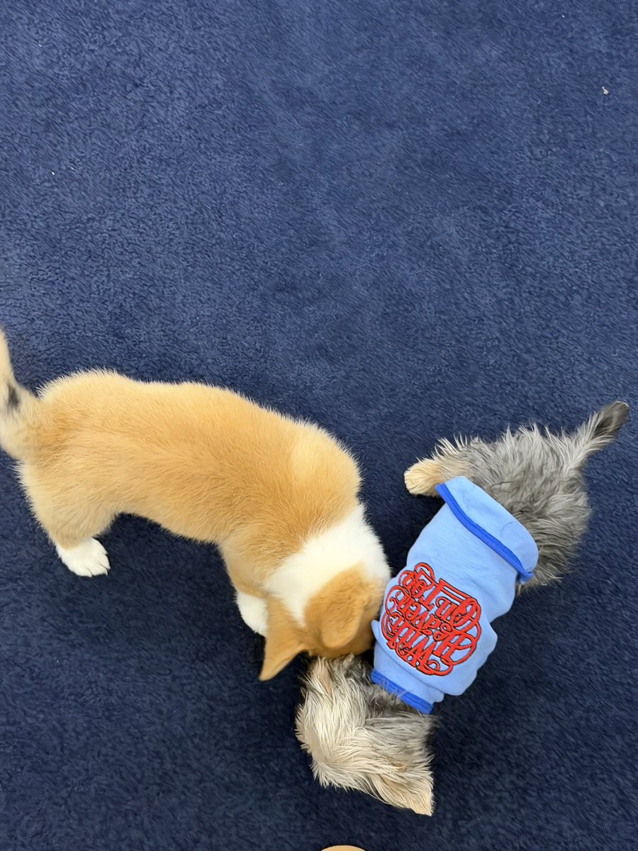 Zach Bryan tweet media