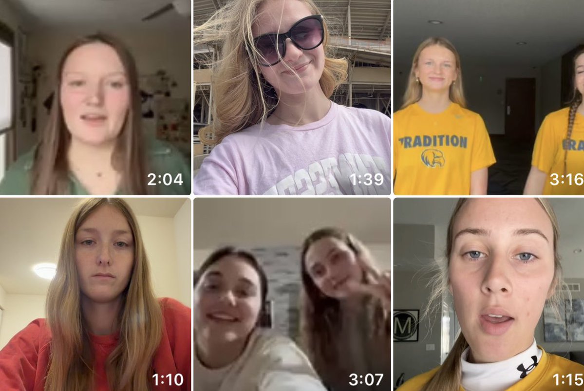 Geneseo Lady Leaf Softball tweet media