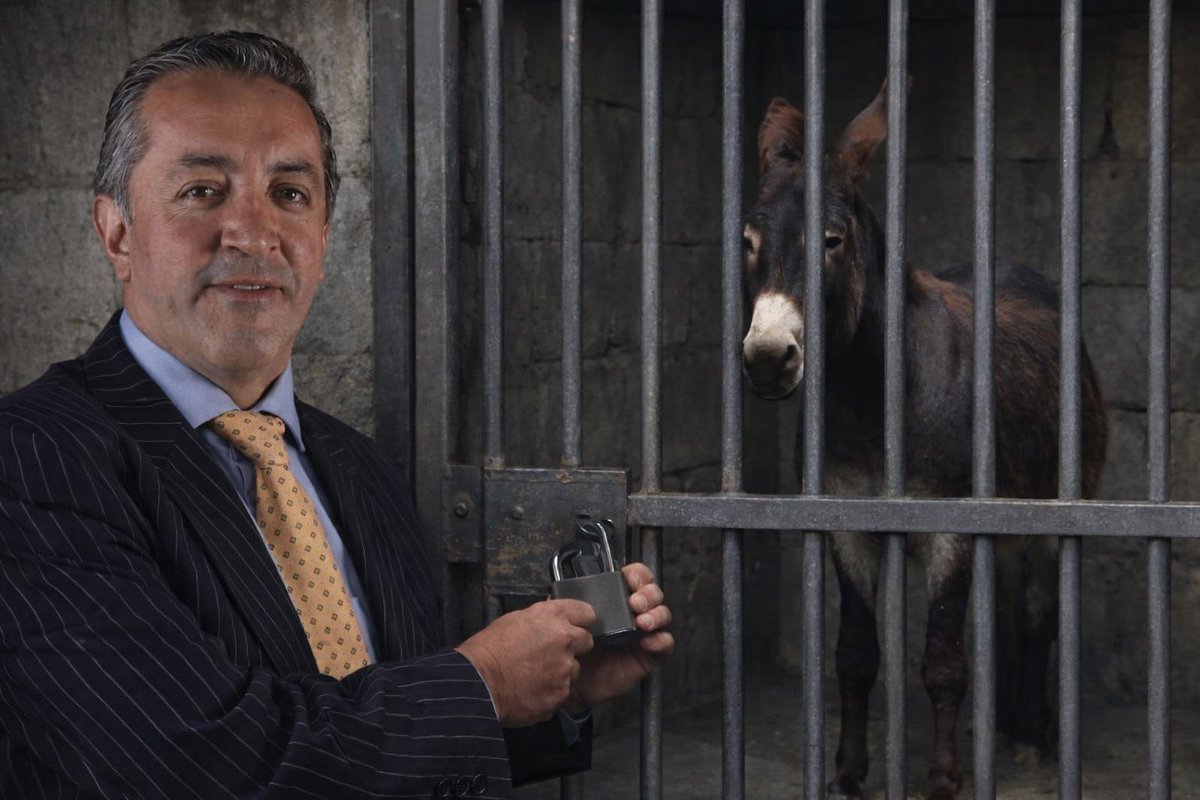 El peor enemigo del Burrito Aquiles siempre fue su abogado <a href="/ramirogarciaf/">𝐑𝐚𝐦𝐢𝐫𝐨 𝐆𝐚𝐫𝐜í𝐚 𝐅</a> . Se encargó de embarrarlo y encerrarlo por las huevadas que habló en entrevistas.
