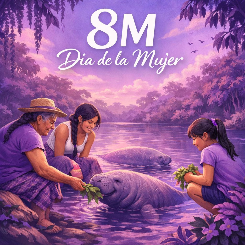 💜🌿 En Jonuteek, Santuario de los Manatíes, el Día Internacional de la Mujer también reconoce a las mujeres de las comunidades ribereñas que cuidan el río, protegen a los manatíes y enseñan a las nuevas generaciones a amar la naturaleza.

#8M #DíaDeLaMujer #Jonuteek #Manatíes