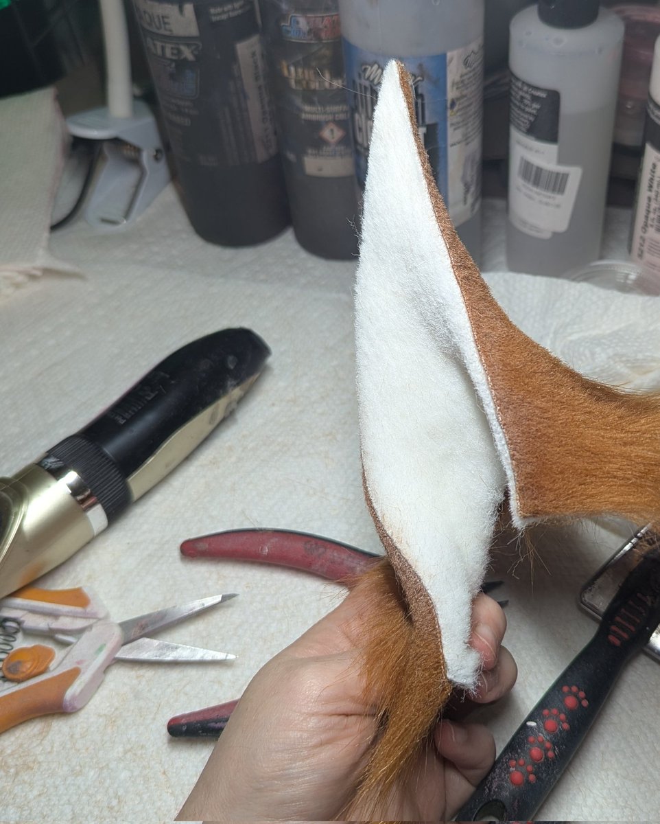 AnthroAesthetic 🔜TFF🔜 AC🔜Denfur? tweet media