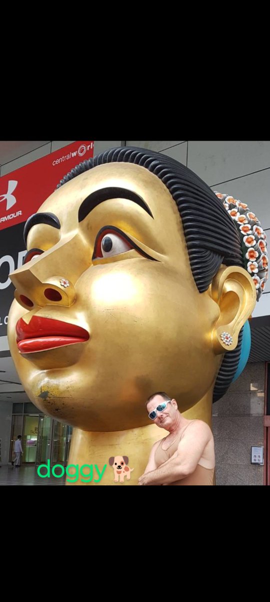 🙏Moondoggy🙏 tweet media